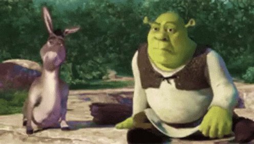 Shrek Donkey Face GIFs