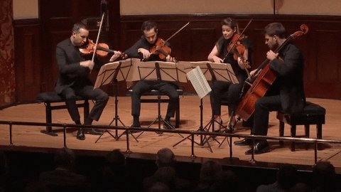 gif of a string quartet 