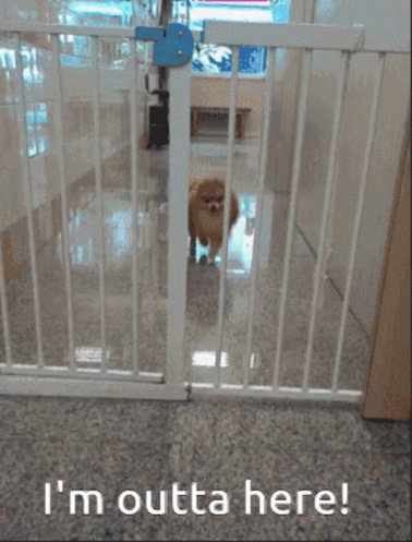 Out Of Jail Im Outta Here GIF