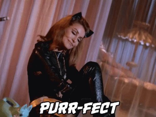 Happy birthday to Catwoman Julie Newmar! 