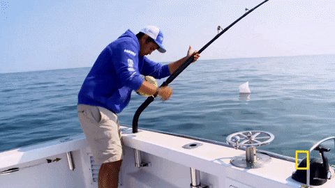 Wicked Tuna Fishing GIF by ...