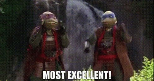 Tmnt Leonardo GIF