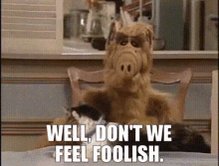 Alf Well Dont We Feel Fooli...