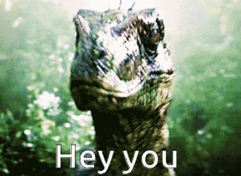 Hey You Dinosaur GIF