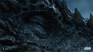 Hbo Dragon GIF by Game of T...