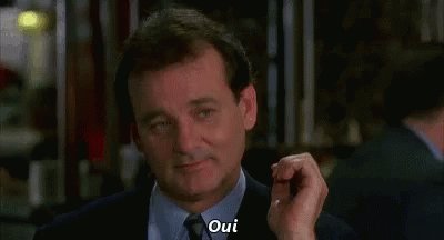 Groundhog Day GIF