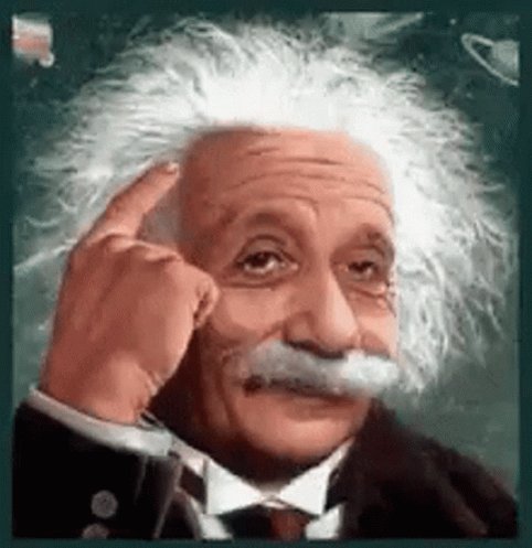 Ponteverga Einstein GIF