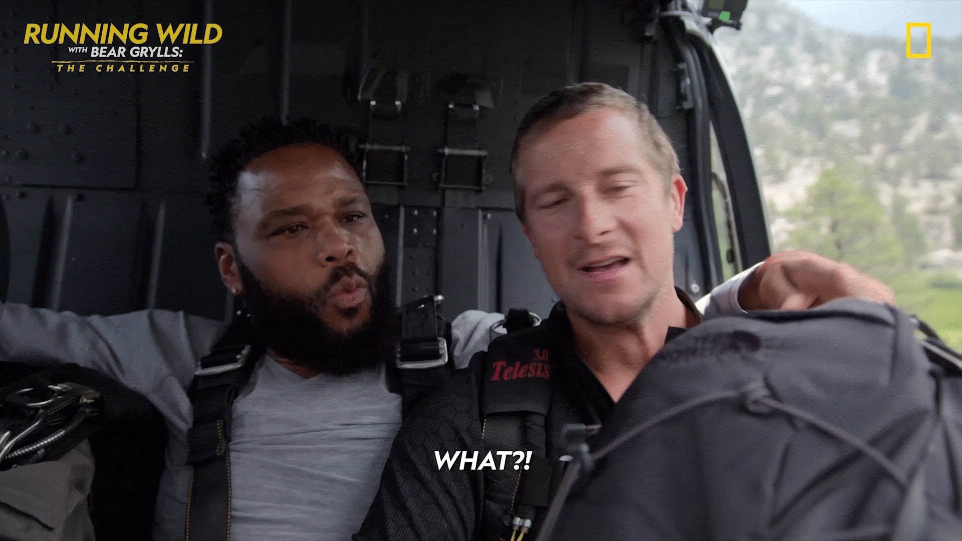National geographic tv on twitter never a dull moment on