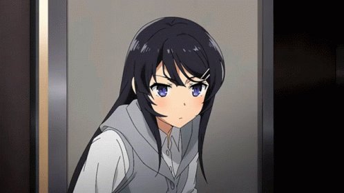 Rascal Does Not Dream Of Bunny Girl Senpai Mai Sakurajima GI