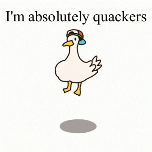 Duck Quackers GIF