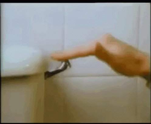 Flush Toilet Flush GIF