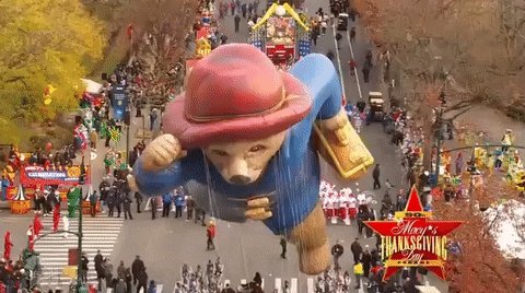 Paddington Bear GIF by The ...