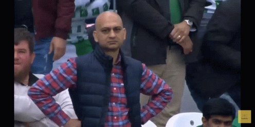 Pakistan Cricket Fan Pakistan Fan GIF