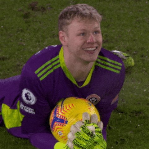 Happy Premier League GIF by Sheffield United Football Club