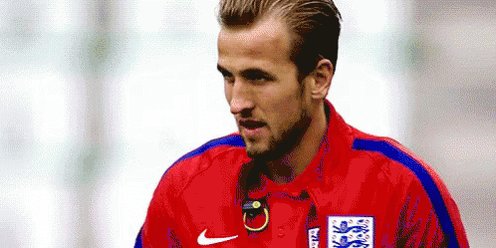 Harry Kane England GIF