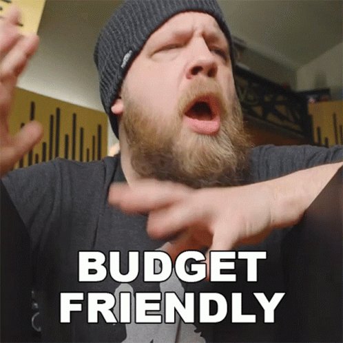 Budget Friendly Ryan Bruce GIF