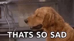 Dog Thats So Sad GIF