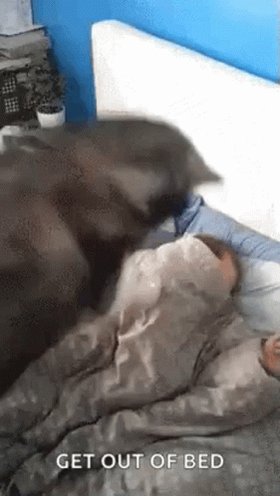 Yo ahora :v https://t.co/TB23BKJZHh