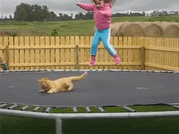 Cat Kid GIF