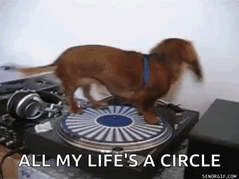 🔞Feral Frenzy! on Twitter: "@Barkyeet https://t.co/ddOOgTU9td" / Twitter
