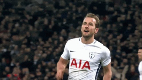 Tottenham Hotspur Harry Kane GIF