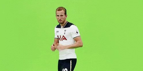 Harry Kane England GIF