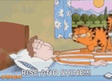 Garfield Wake Up GIF