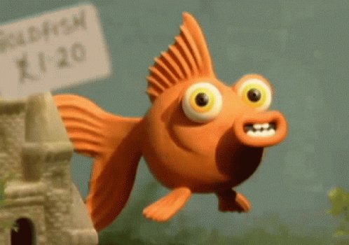Fish Wink GIF