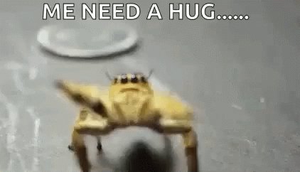 Taking pics of my ass in a tiny g-string when I see a big ass spider run by in the corner of my room