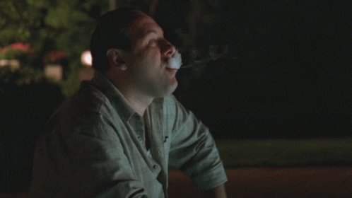 Happy birthday James Gandolfini... 