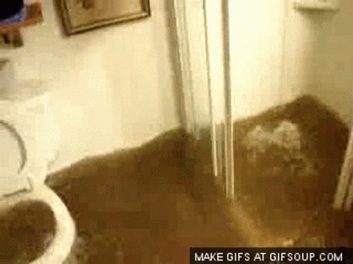 Overflowing Toilet GIF