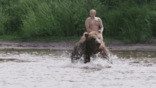 Putin Bear GIF