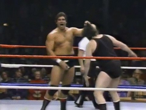 Happy Birthday to Hall of Famer Don Muraco, turning 73 today   