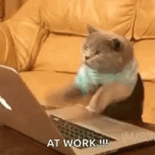 Typing Laptop GIF