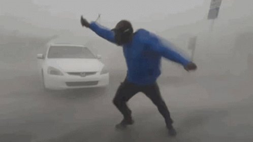 Wind Windy GIF