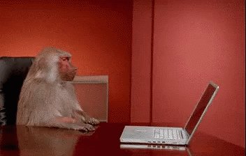 Monkey Pissed GIF