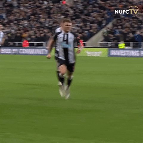 Newcastle United Sport GIF ...