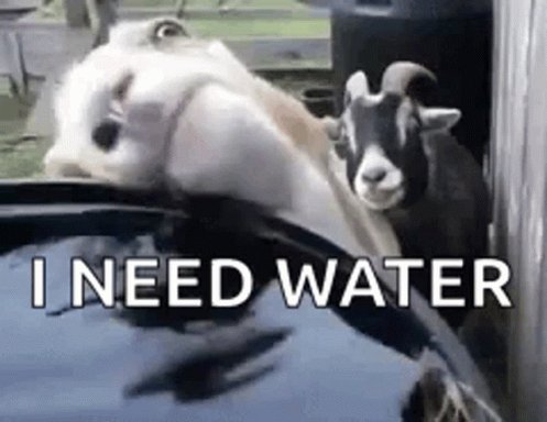 Thirsty Water GIF