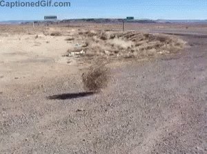 Empty GIF