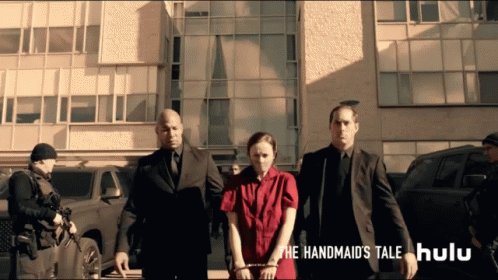 Handmaids Arrested GIF