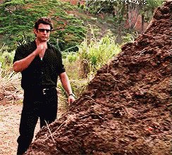 GIF is from the movie Jurassic Park. A young Jeff Goldblum d