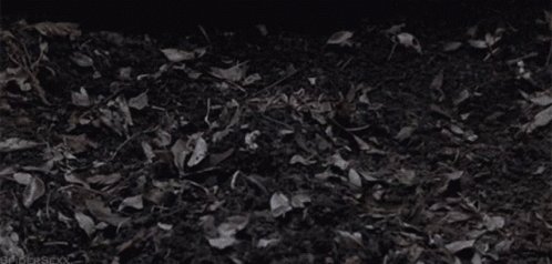 Zombie Dead GIF