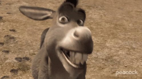 Donkey From GIF