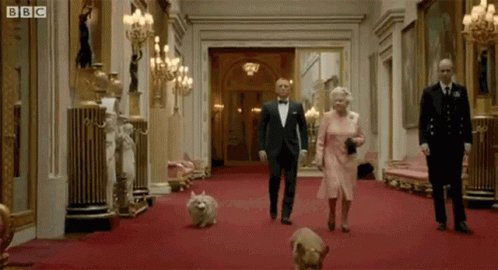 James Bond Daniel Craig GIF