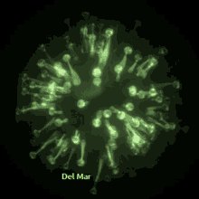 Delmar Virus GIF