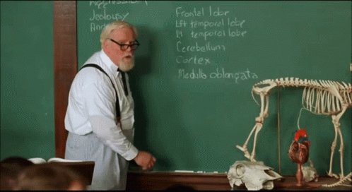 Sad Sorry GIF