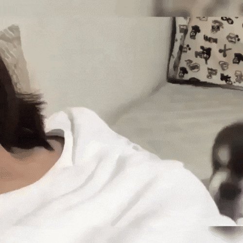 Aww Cuteness GIF