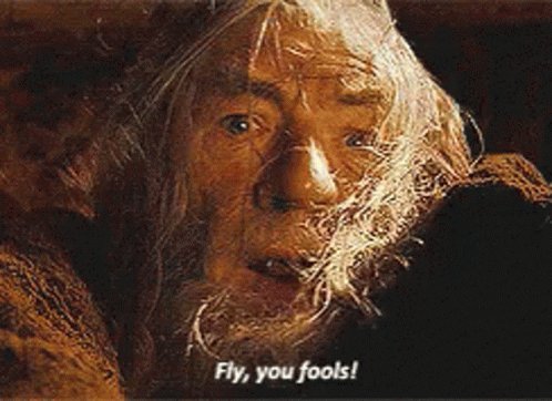 Gandalf Lord Of The Rings GIF