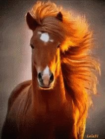 Red Horse Nice Hair GIF