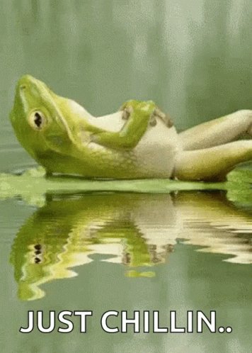 Frog Lily GIF